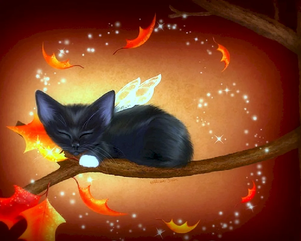 Fantasy cats