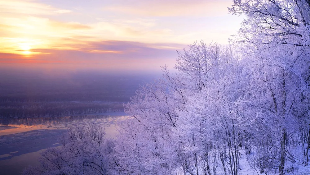 Winter nature landscape