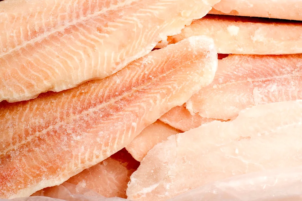 Pangasius fish fillet