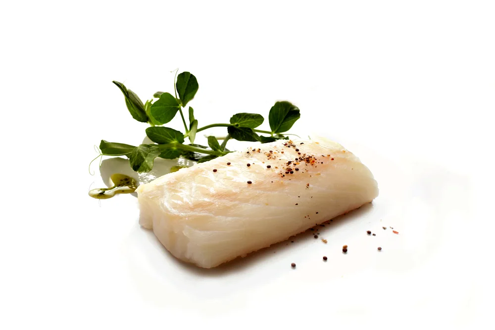 Cod fillet on white background