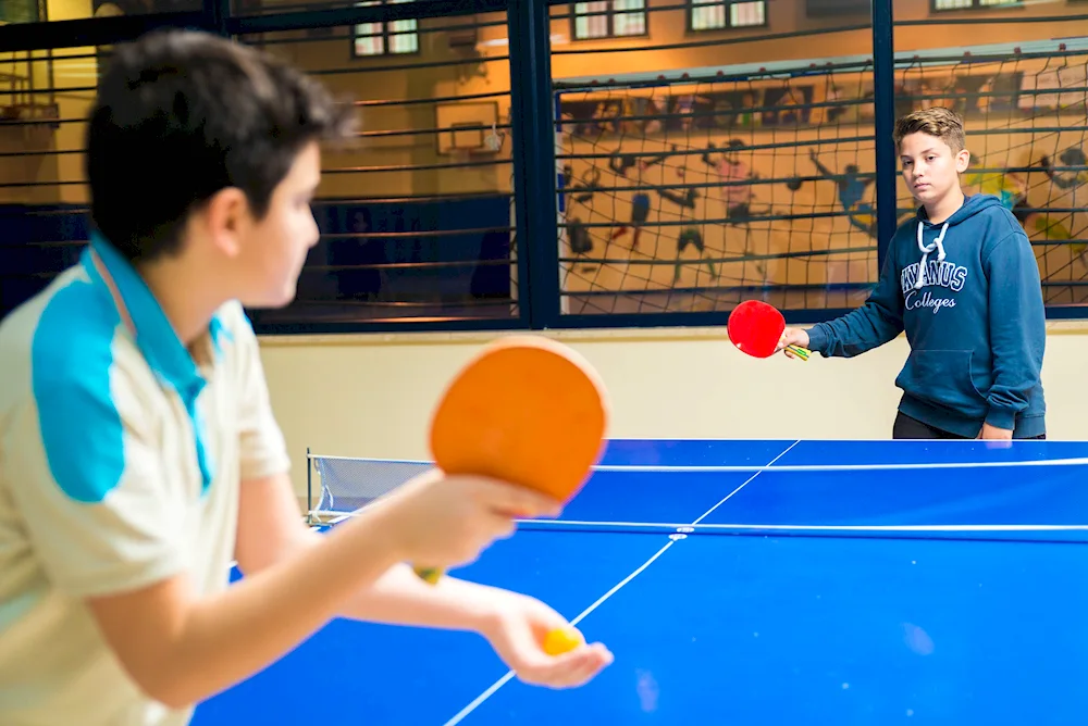 table tennis