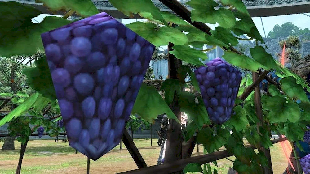 Final Fantasy 14 grape