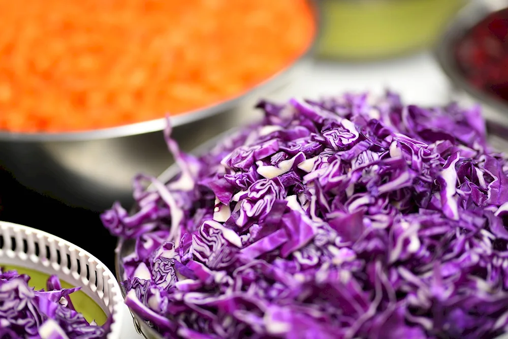 Red cabbage stew