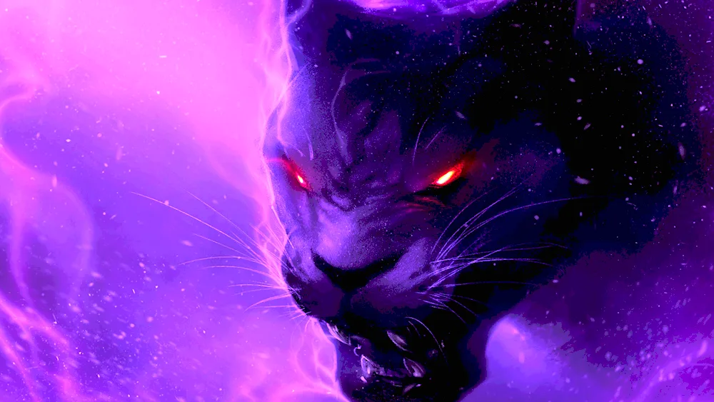 Purple cat