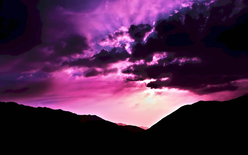Pink Minimalism
