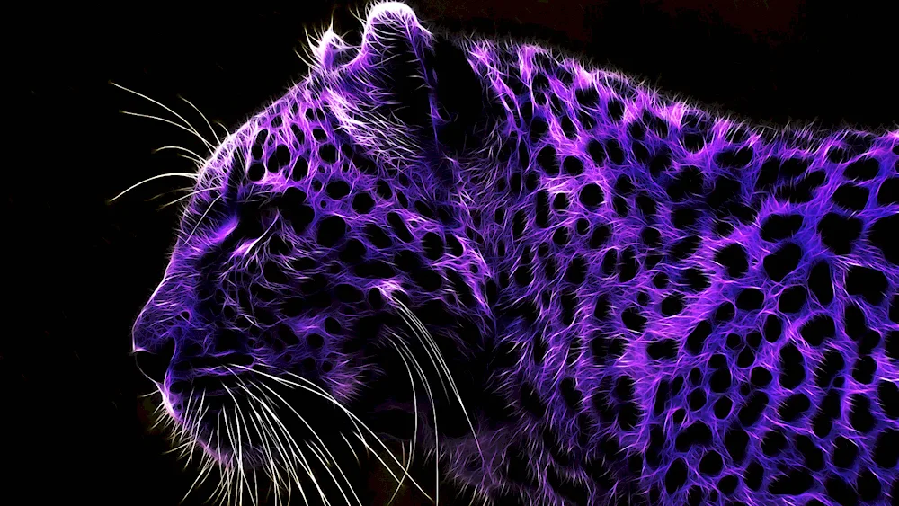 Purple Jaguar