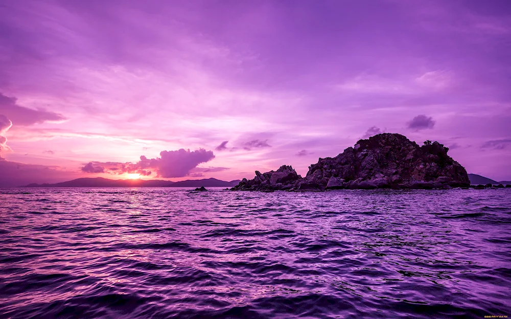 Purple sunset