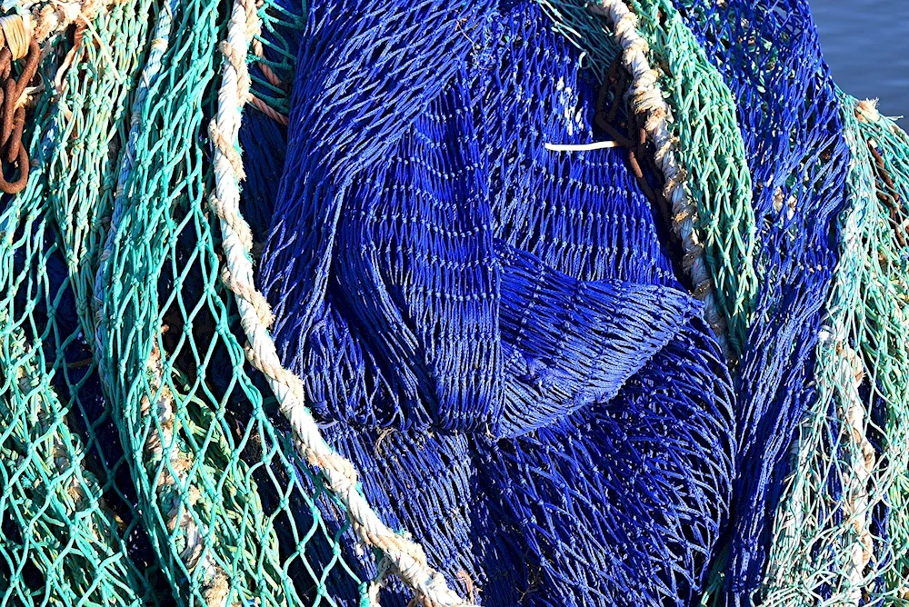 Fishing Net