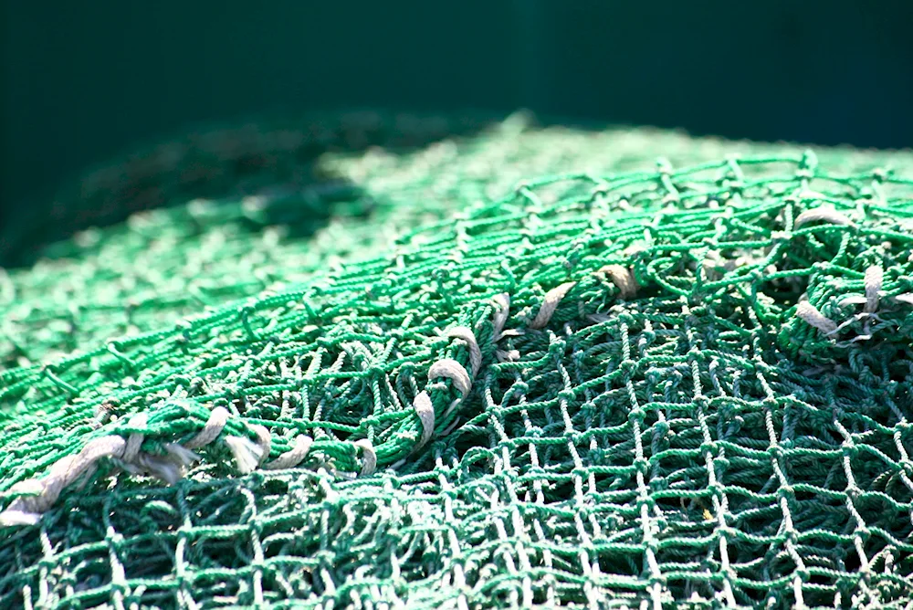 Fishing Net