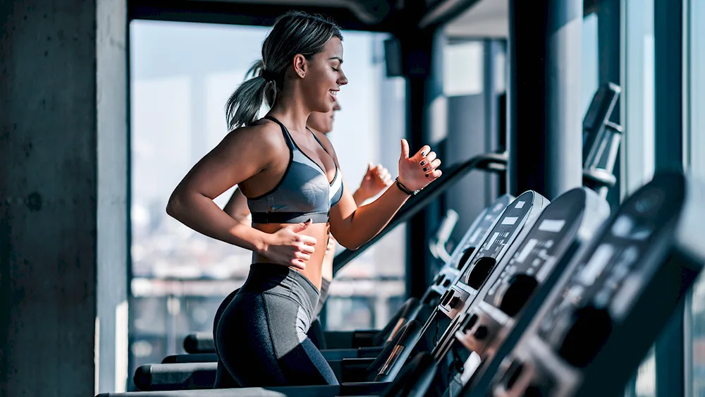 Fitness
