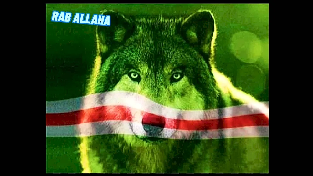 Flag of Chechnya with wolf