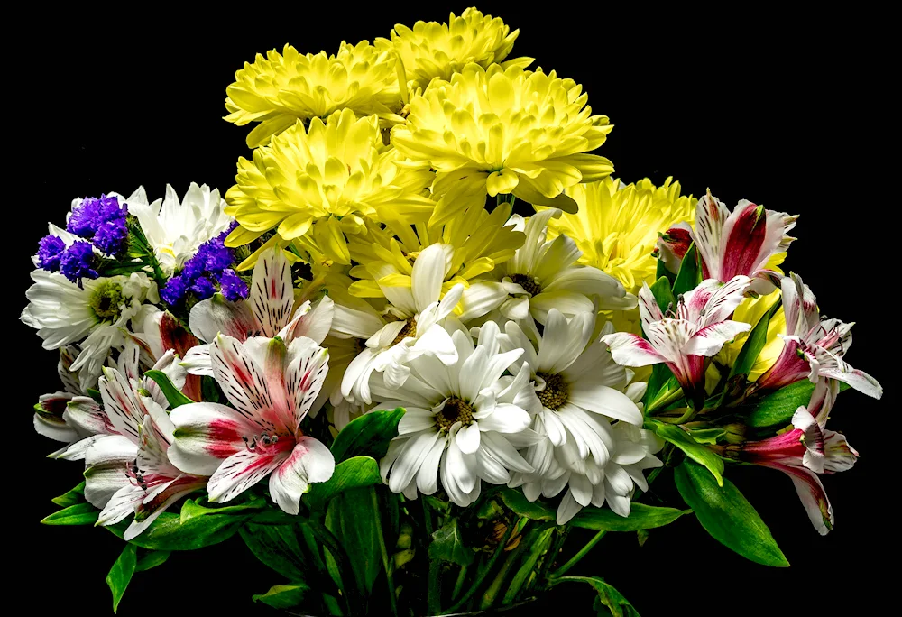 Chrysanthemum bouquet