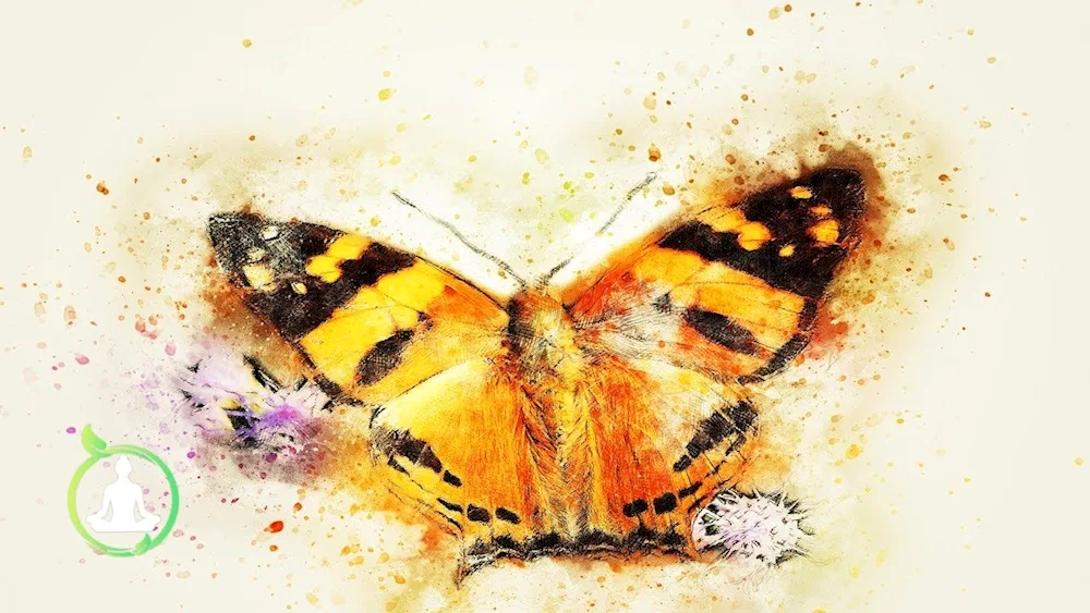 Butterfly background