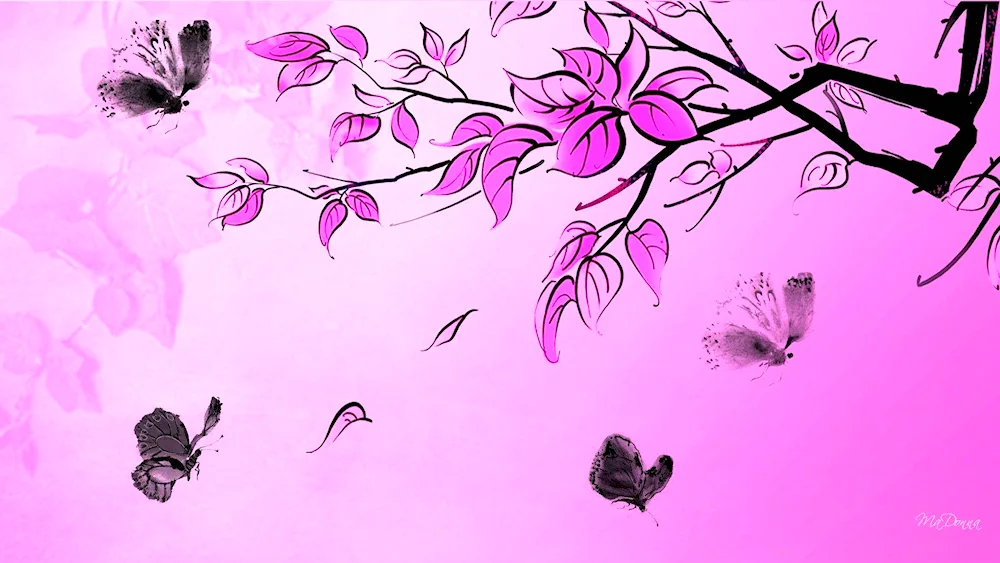 Butterfly background