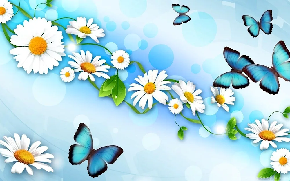 Chamomile bouquet on transparent background
