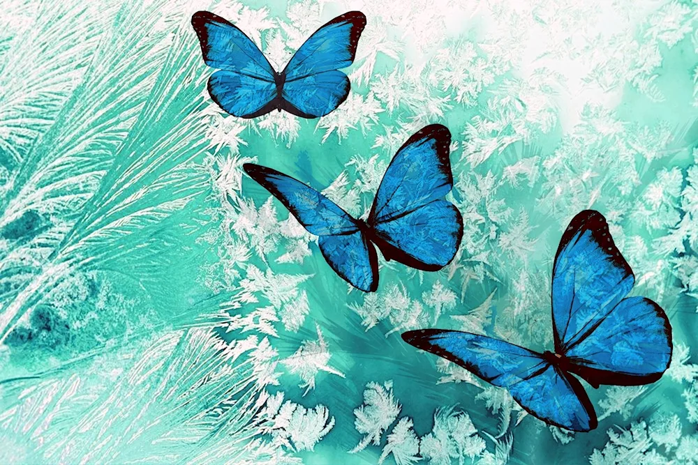 Butterfly background