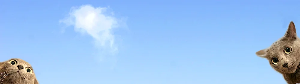 Background for two monitors