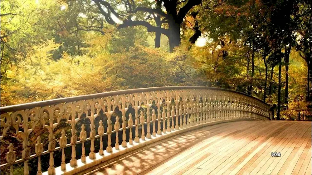 Autumn park bench lake