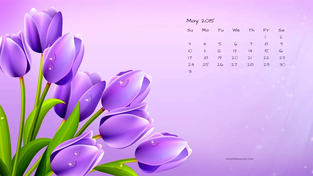 Calendar background