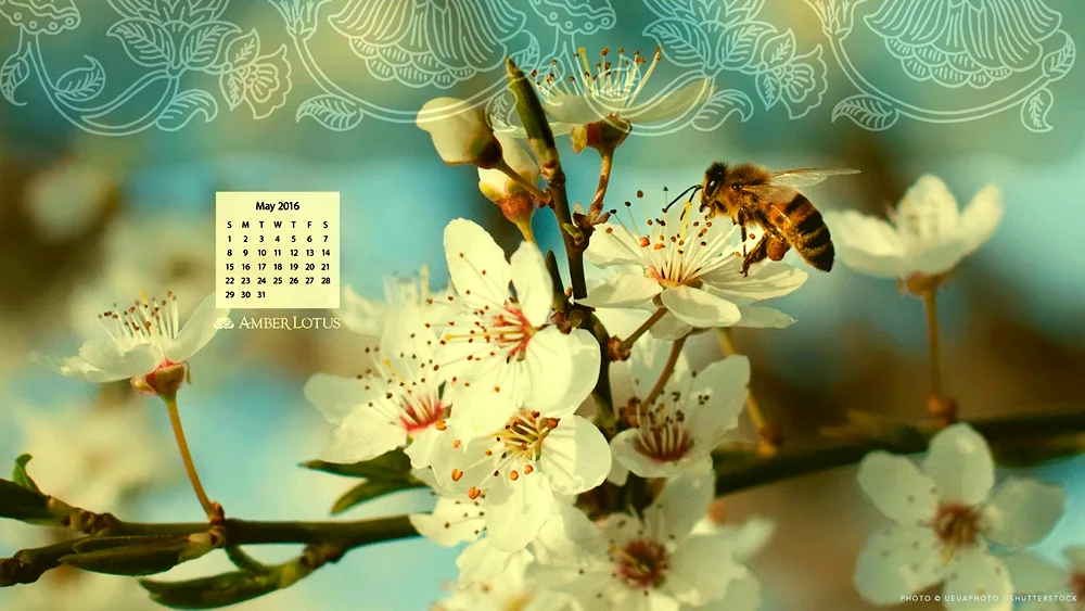 Spring background for calendar