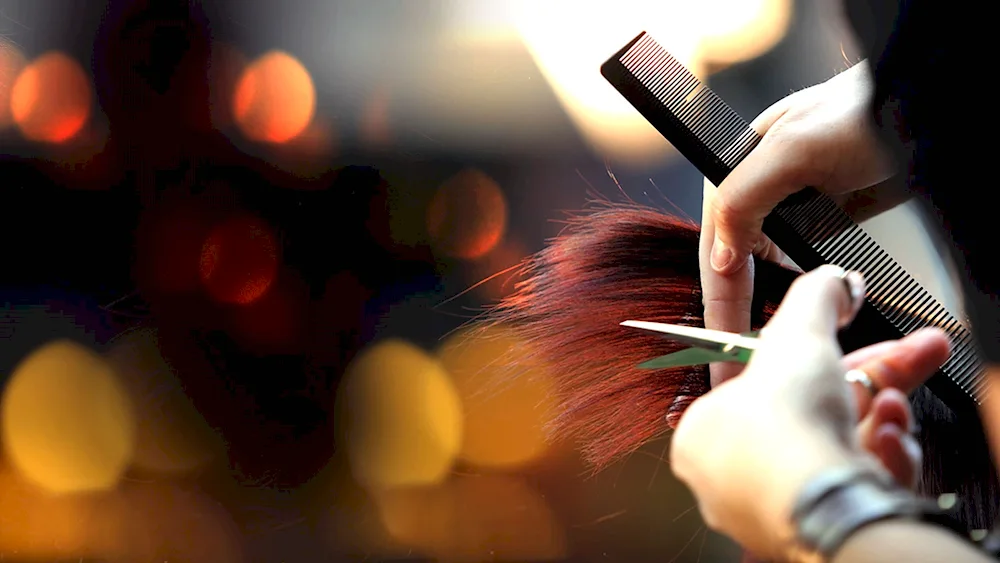 Men's haircut in a barber shop