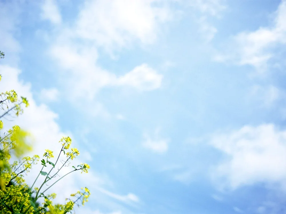 Spring sky