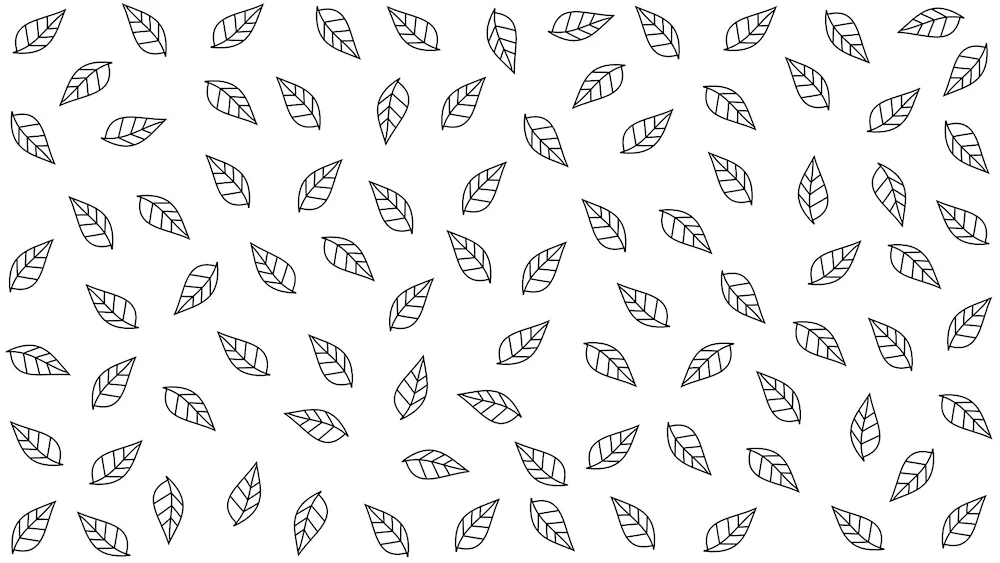 Car drawing