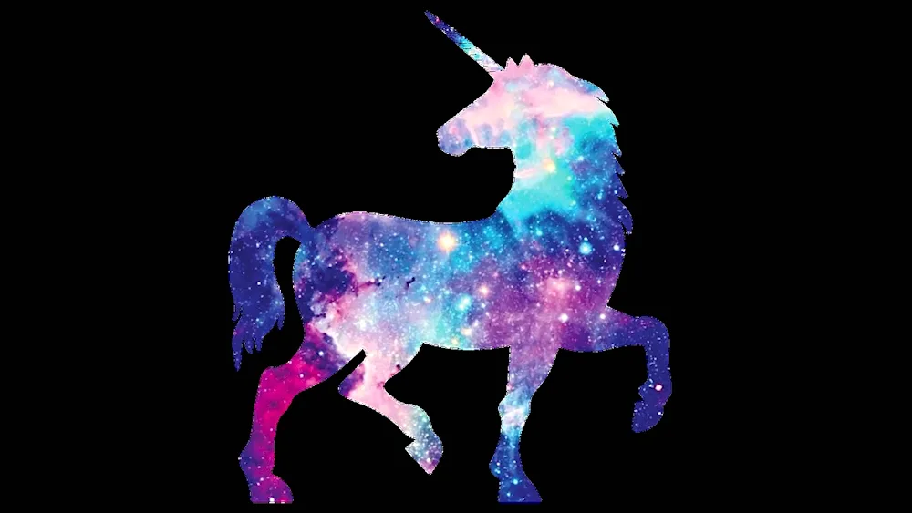 Rainbow Unicorn