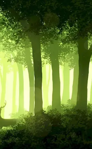 Forest background