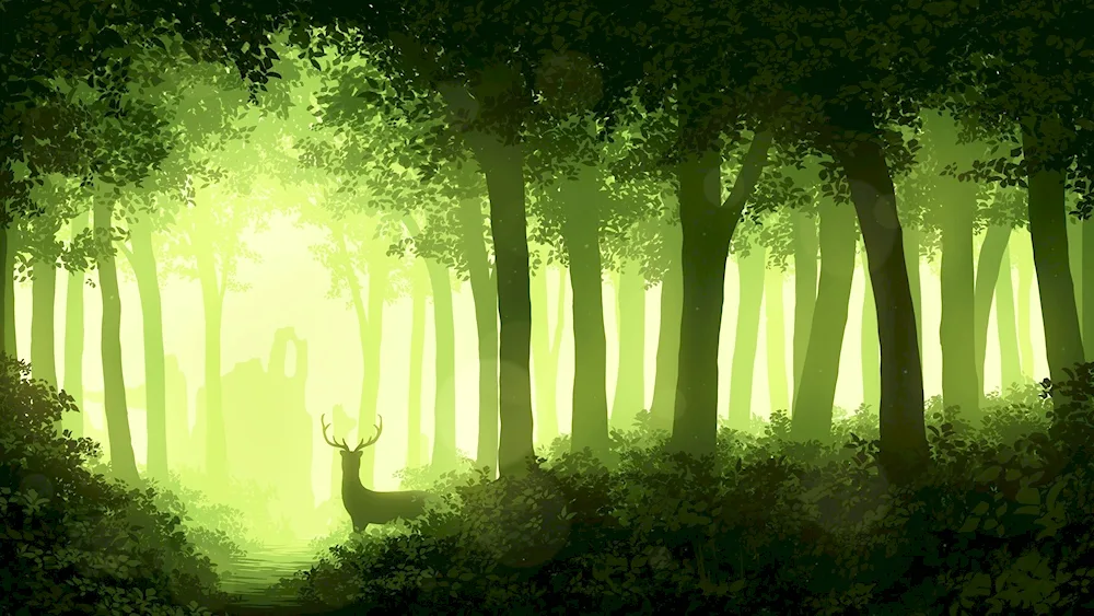 Forest background