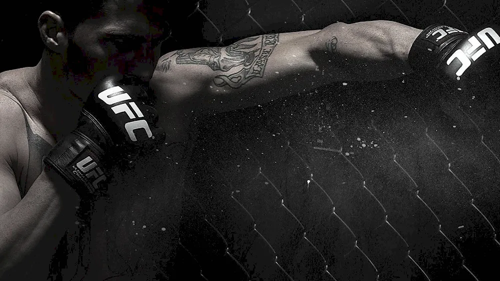 UFC MMA background