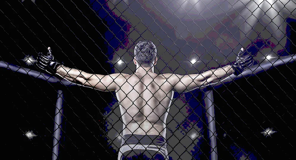 UFC MMA backgrounds