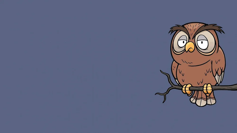 Owl background