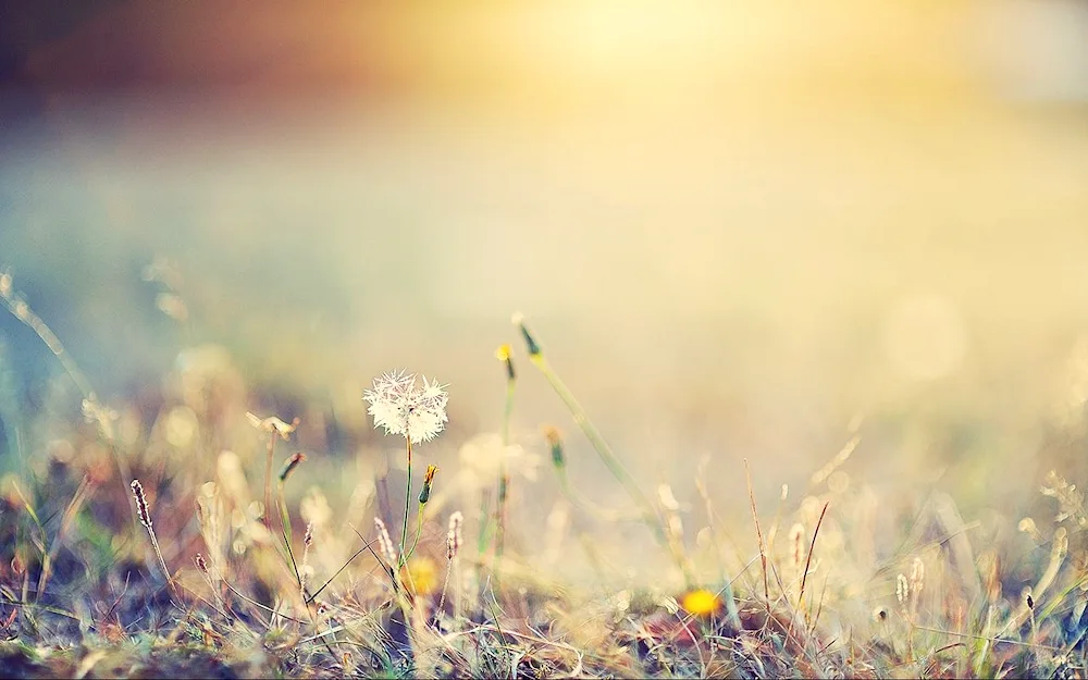 Background pastel shades