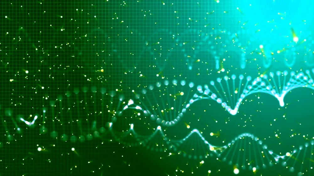 DNA table