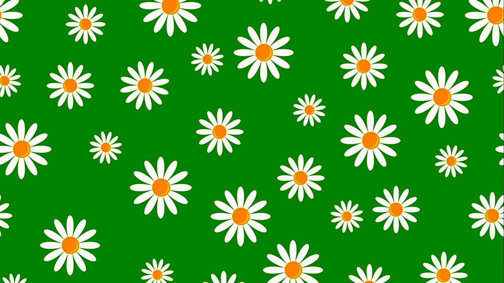 Chamomile Background