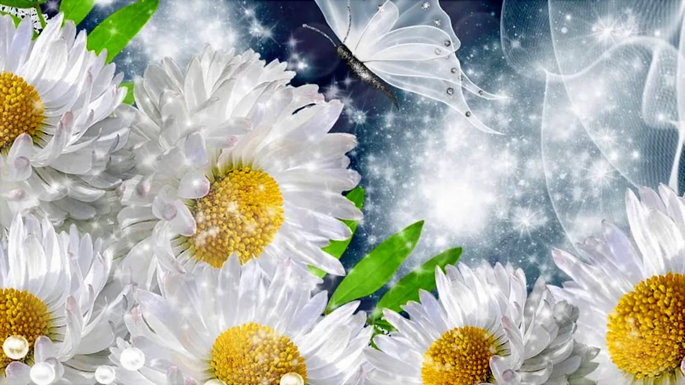 Daisy Flower