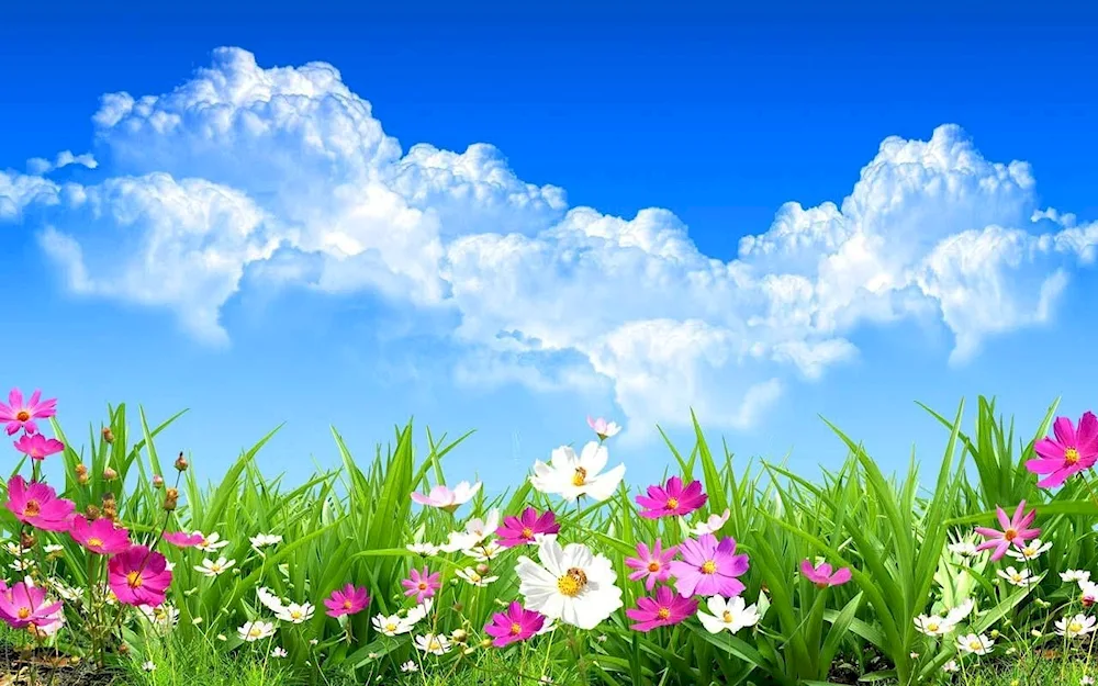 Background with flowers