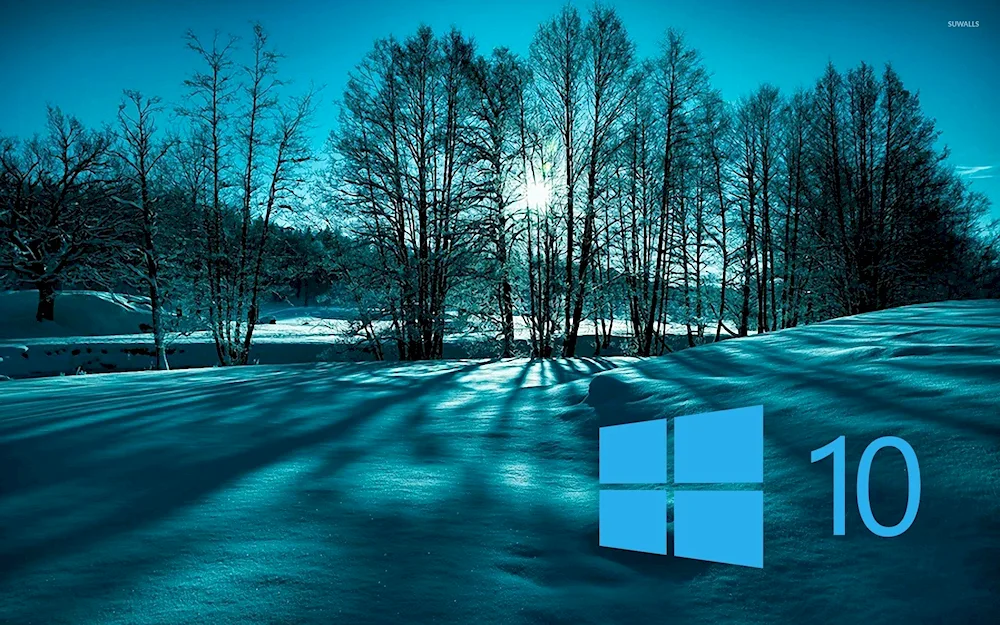 Microsoft Windows 10