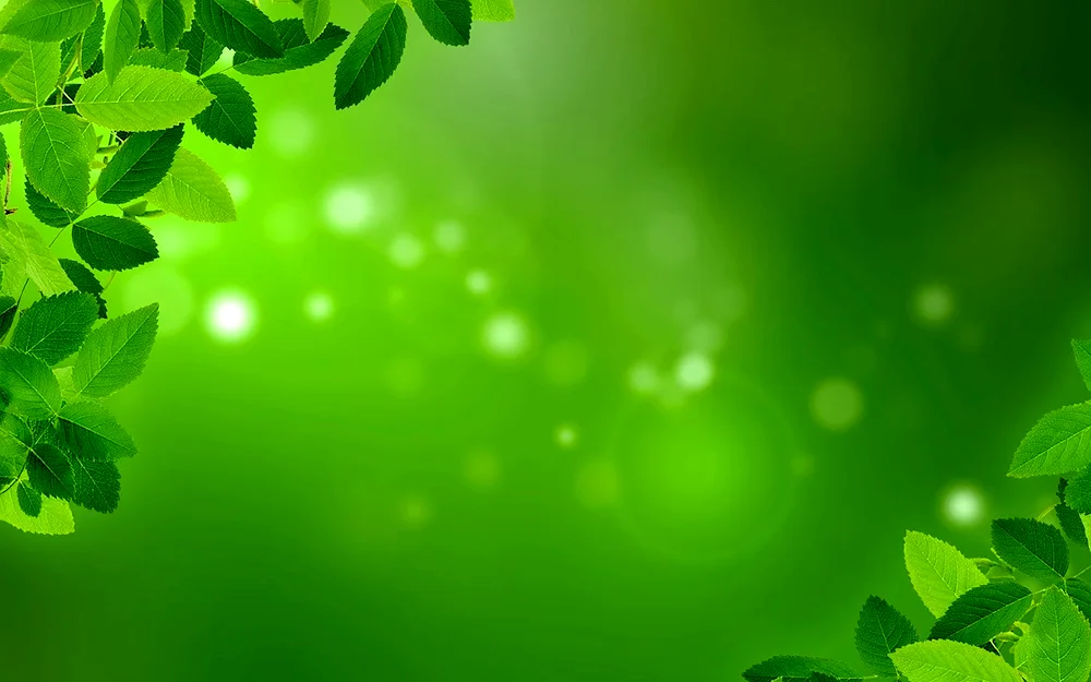 Pale green background