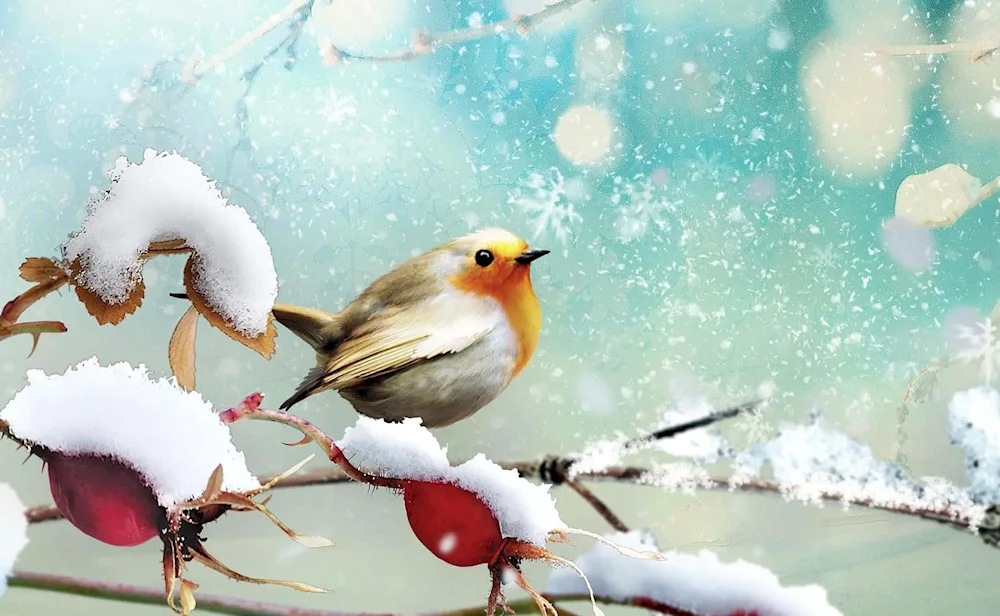 Winter background winter birds