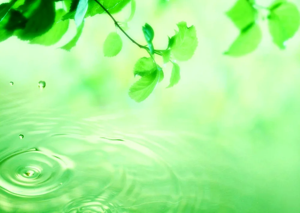 Green background for presentation