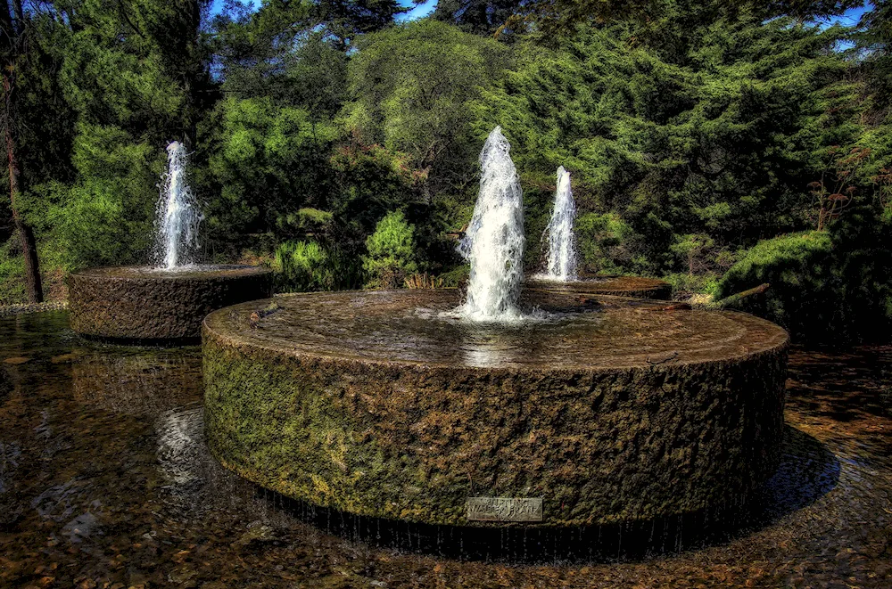 Light and music fountain in Peterhof