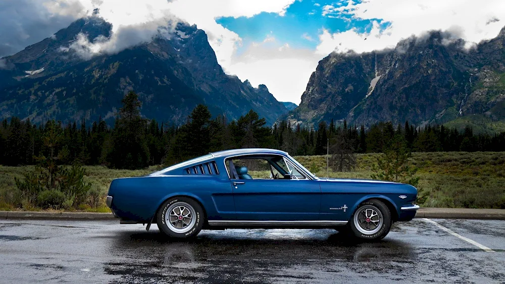 Ford Mustang green