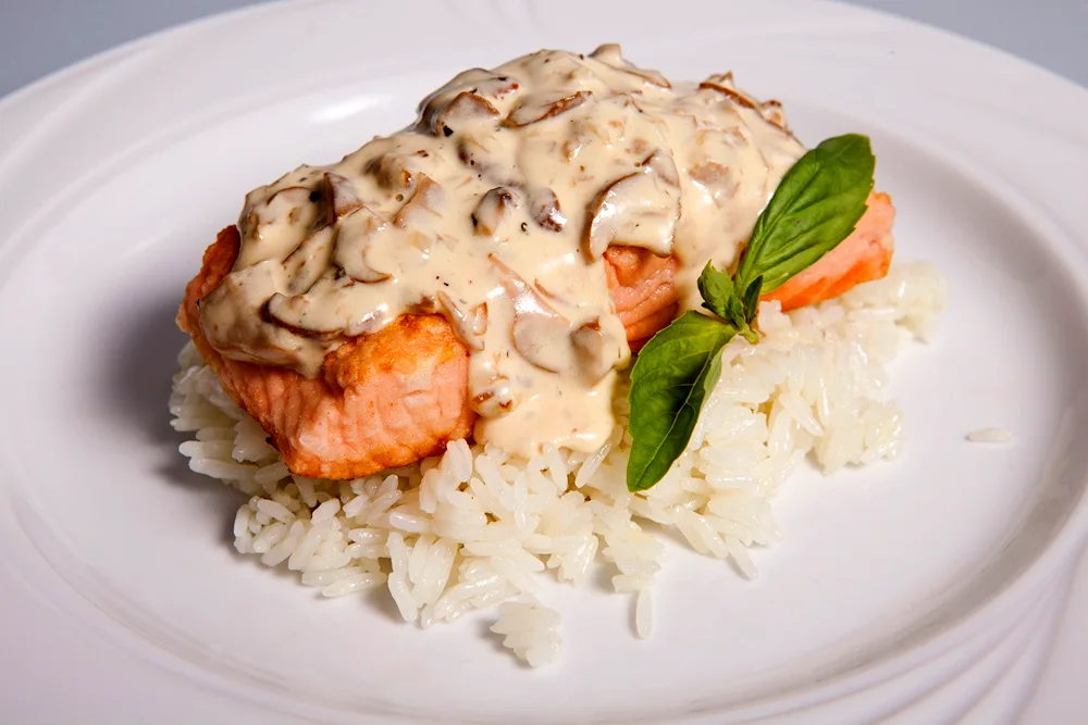 Salmon fish fillet