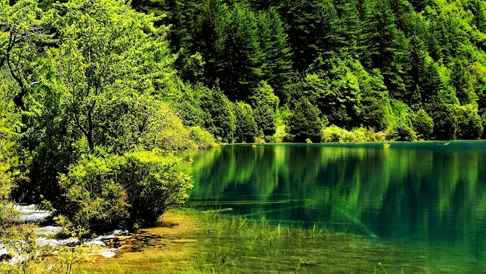 Schwarzwald Lake