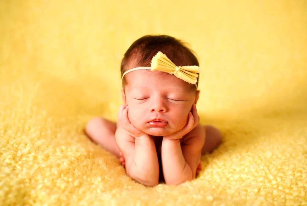 Babies on orange background