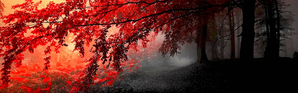 Fantasy mountains