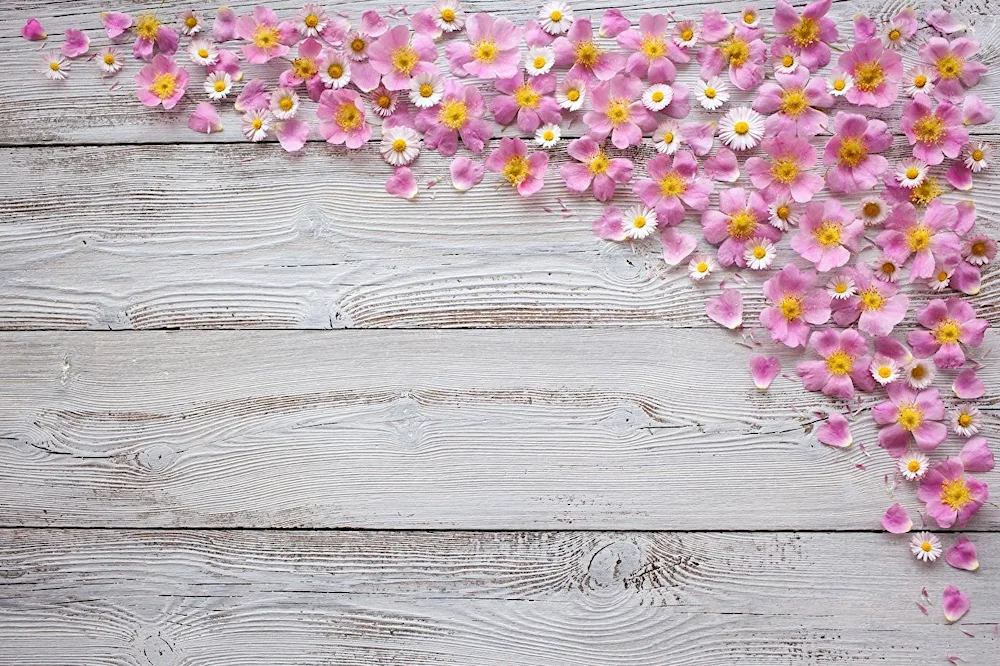 Flowers on wooden background