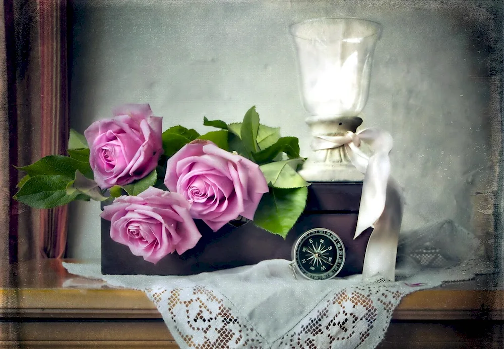 Alina Lankina Oil Still Life Photography